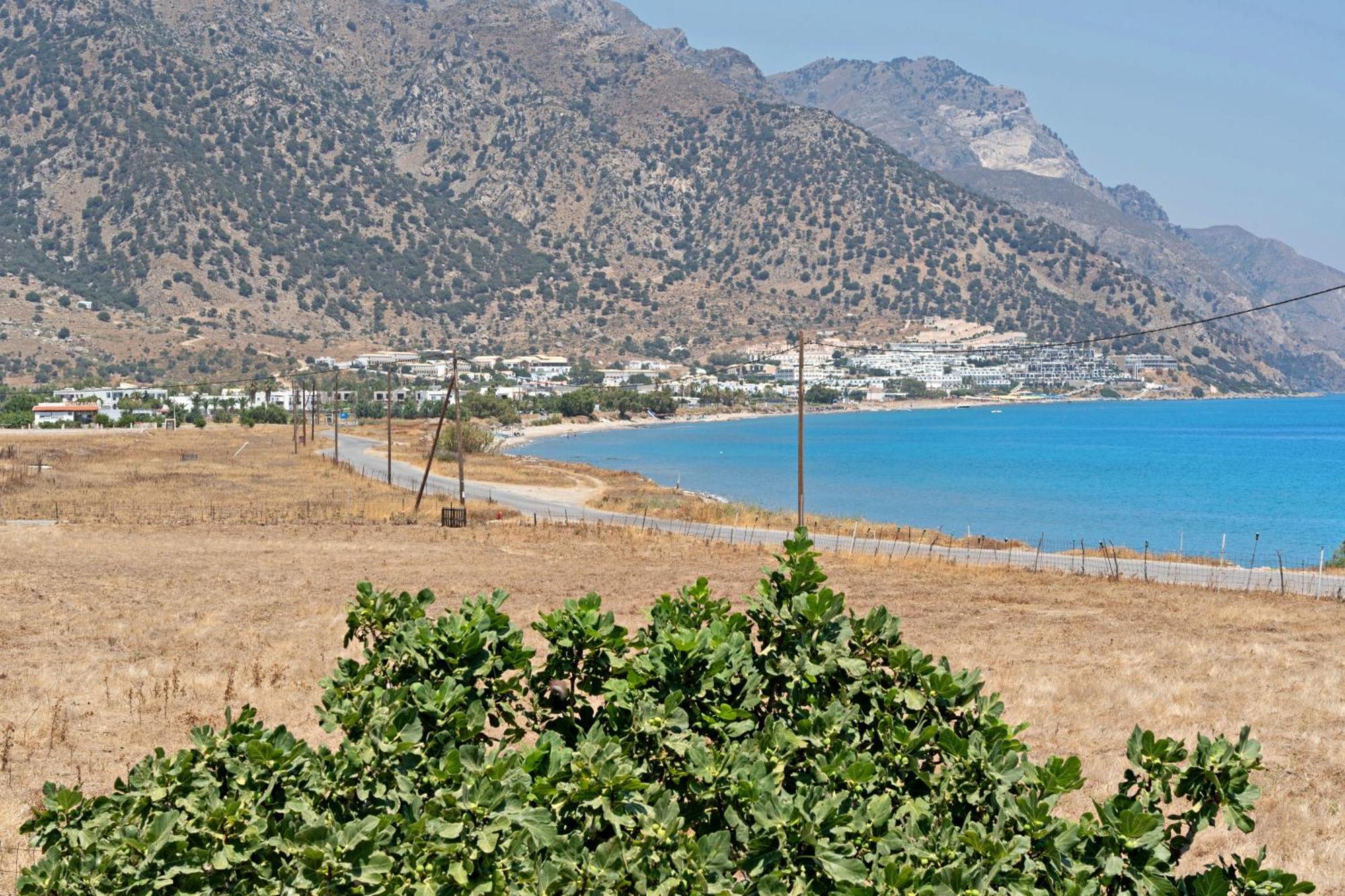 Athina Seaside Apartment *